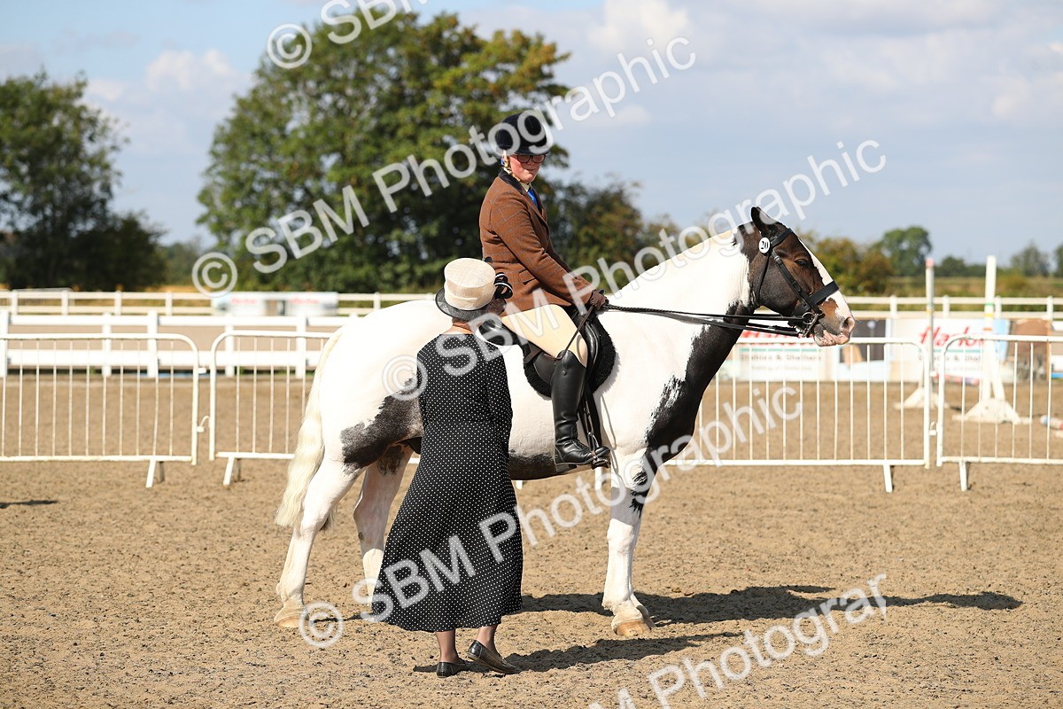 SBM_03193 - Class 44 Riding Club Horse/ Pony