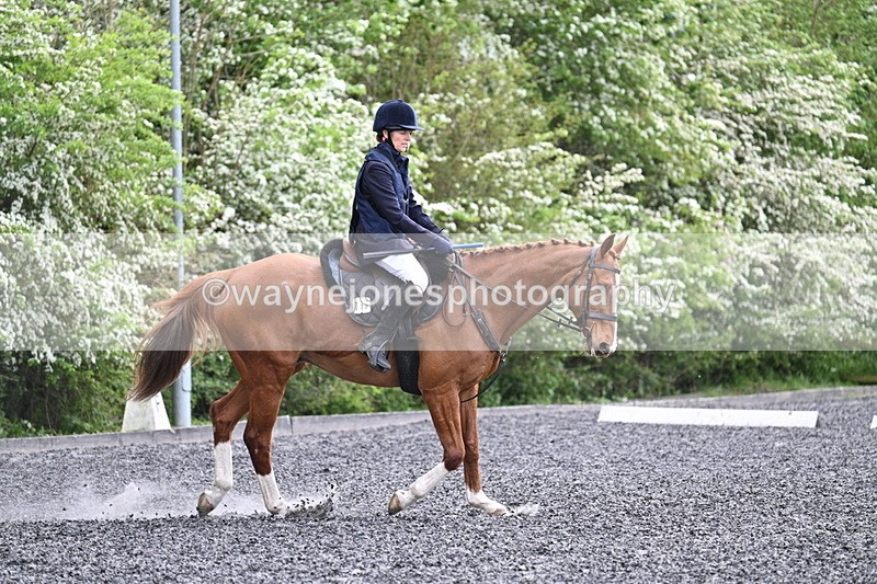 WJ7_0788 - Time 14:01 to 14:12