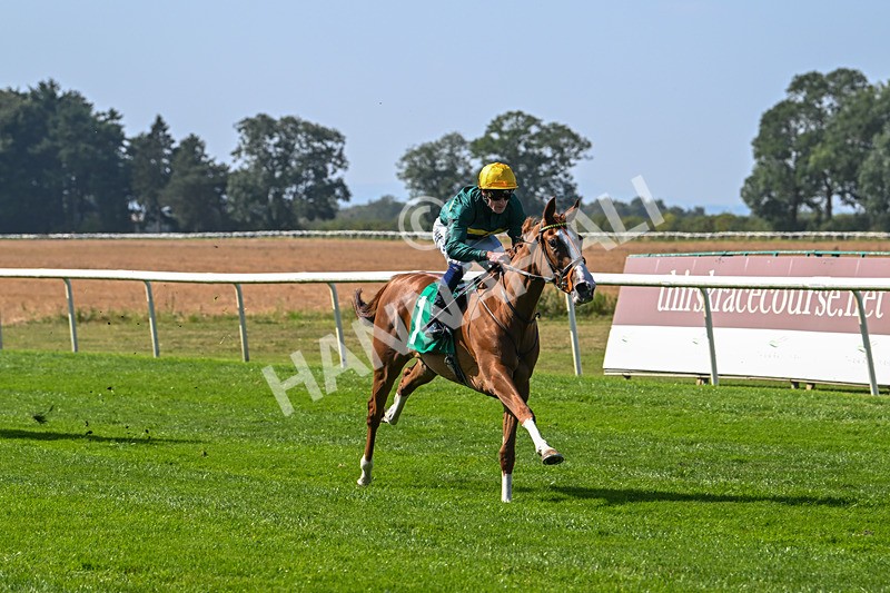 300824-Race 2-Consent-5718 - Race 2