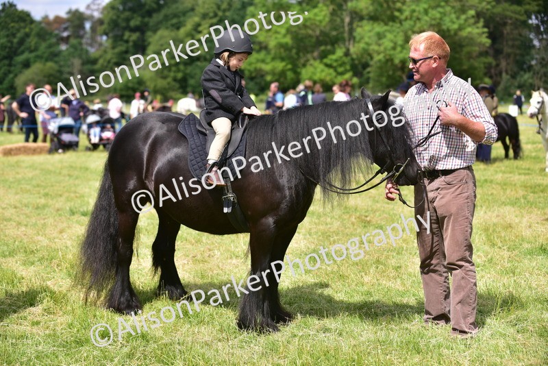 20260614-1210 - Class 11a - Lead Rein Pony (Unplaited)