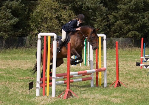103 - Moniaive Horse Show 2008