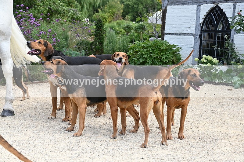 WJ6_3838 - Berks & Bucks - The Old farmhouse - Hound Exercise 20-08-25