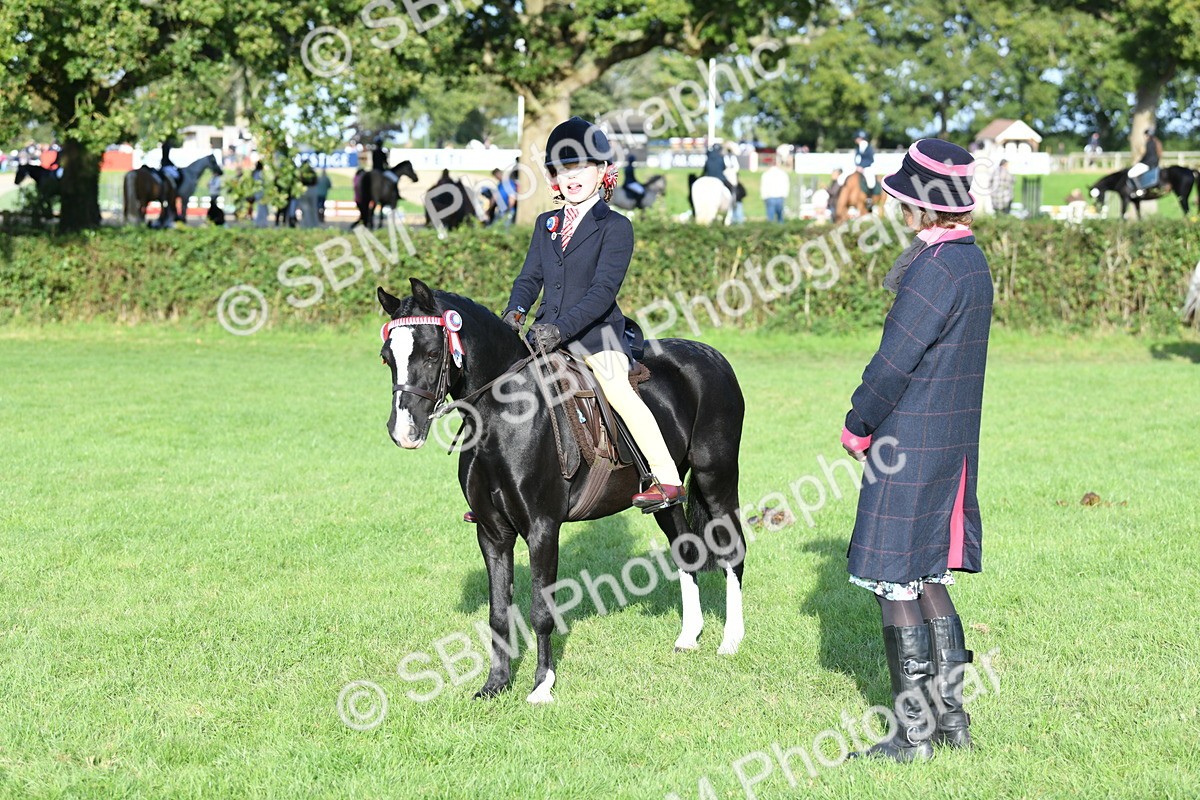 SBM_52412 - S22 - 1st Ridden Show & Show Hunter Pony