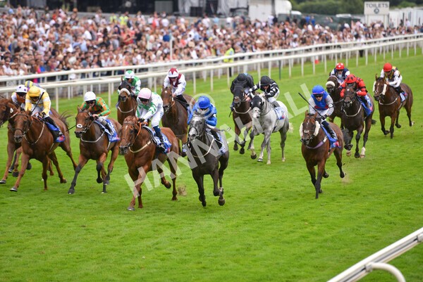 yr24072021r2-14 - Race 2 2.40pm Sky Bet Dash