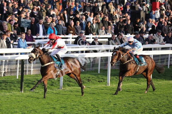 yr07102022r7-22 - Race 7 5.35pm IRE Incentive, It Pays To Buy Irish Stakes