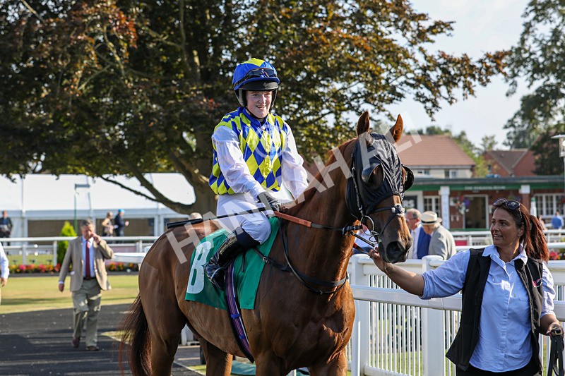 300824-Race 8-Bulls Aye-0786 - Race 8