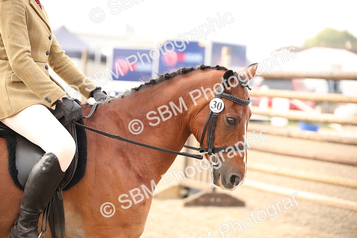 SBM_09780 - Class 401 Riding Club Pony
