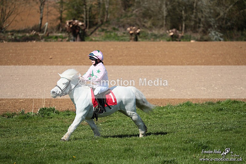 Shet 060426 161 - Shetland Pony Racing Paxford Races Easter Mon 06/04/26