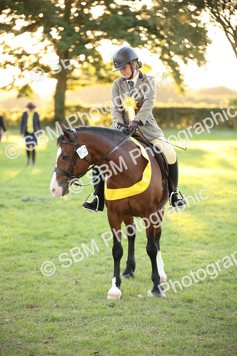 SBM_57063 - Veteran Supreme Championship