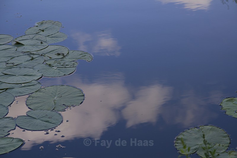 - Water gazing