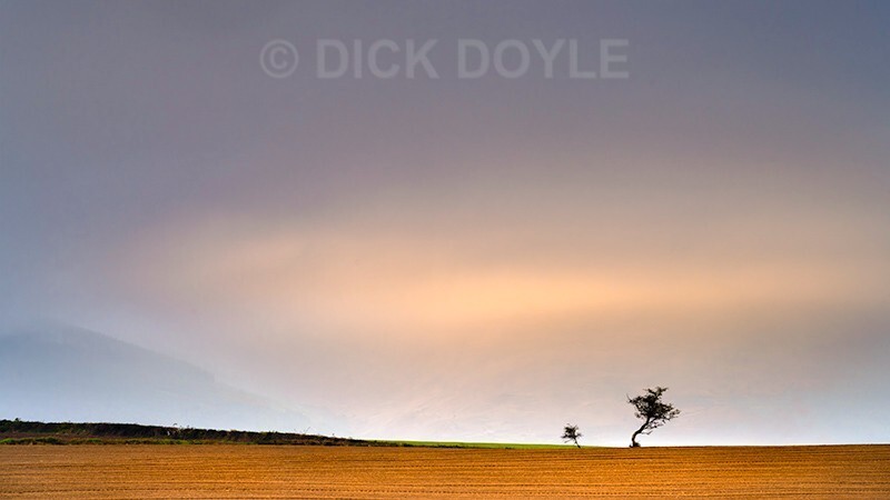 dawn mist Knockmealdown mountains - Mood and mist with some lumen added