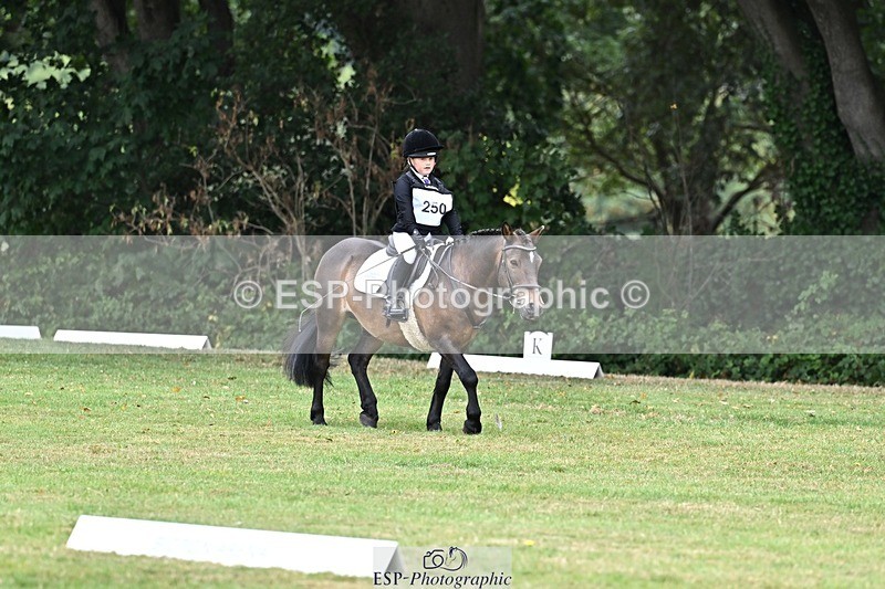 250820A-102538-02571 - Start to 11am