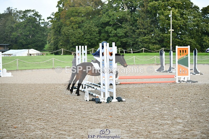 251004A-091318-00101 - Classes 1-2-3 40cm