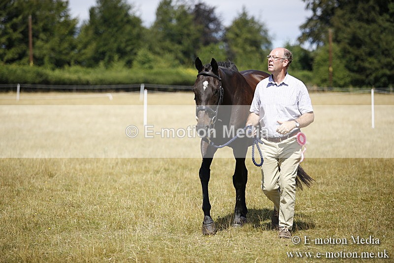 _C7A9690 - BVRC Sow 2018 Ring 2