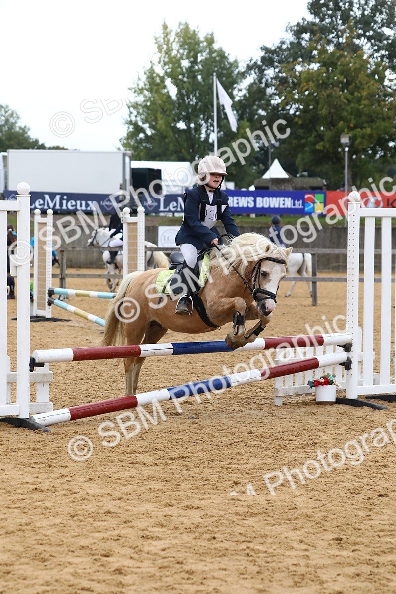 SBM_62260 - J64 - Junior Pony 60cm Championship