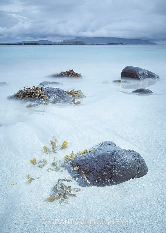 Beach Canna 2 - Latest work