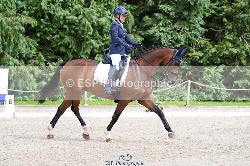 240721-151330-10016 - 195-Dawn_Bear-First_Taylor_Made