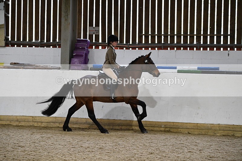 WJ5_7249 - Class 11 Ridden PC - RC Pony
