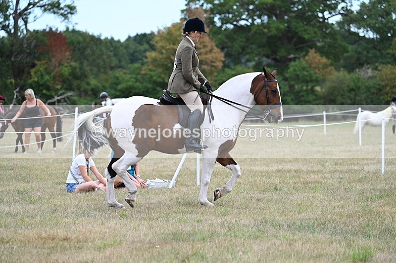 WJ7_4912 - Class 12 Ridden Cob