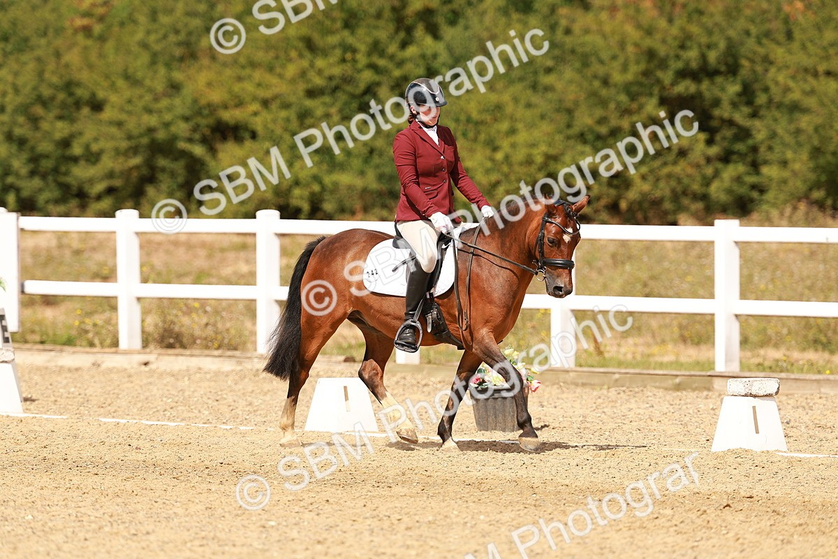 SBM_018644 - Class 9 - N5 Bronze 11.57.13.07