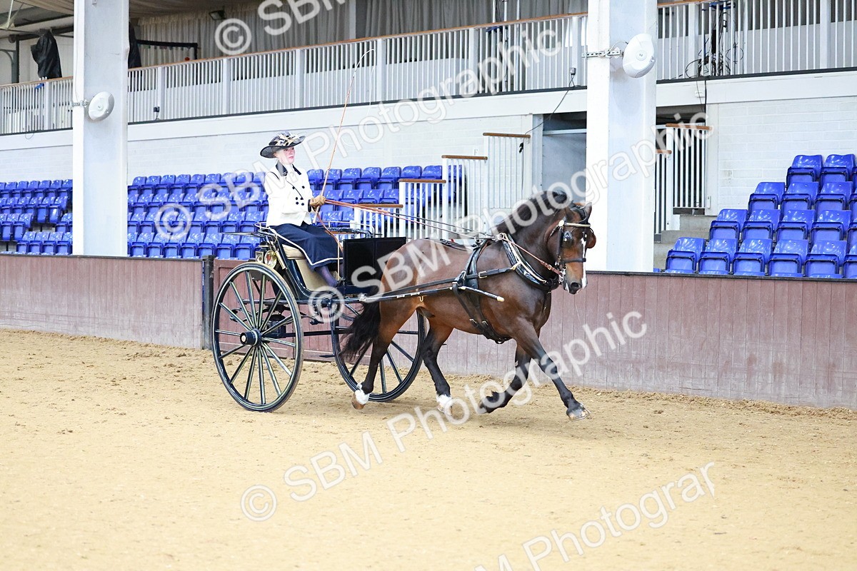 SBM_000110 - Class 3 - Alison Thomas Memorial Lady Whip