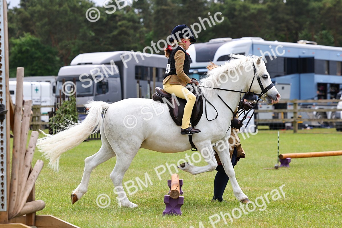 SBM_08195 - Class 42-43 - LIHS BSPS Heritage Working Sports Pony