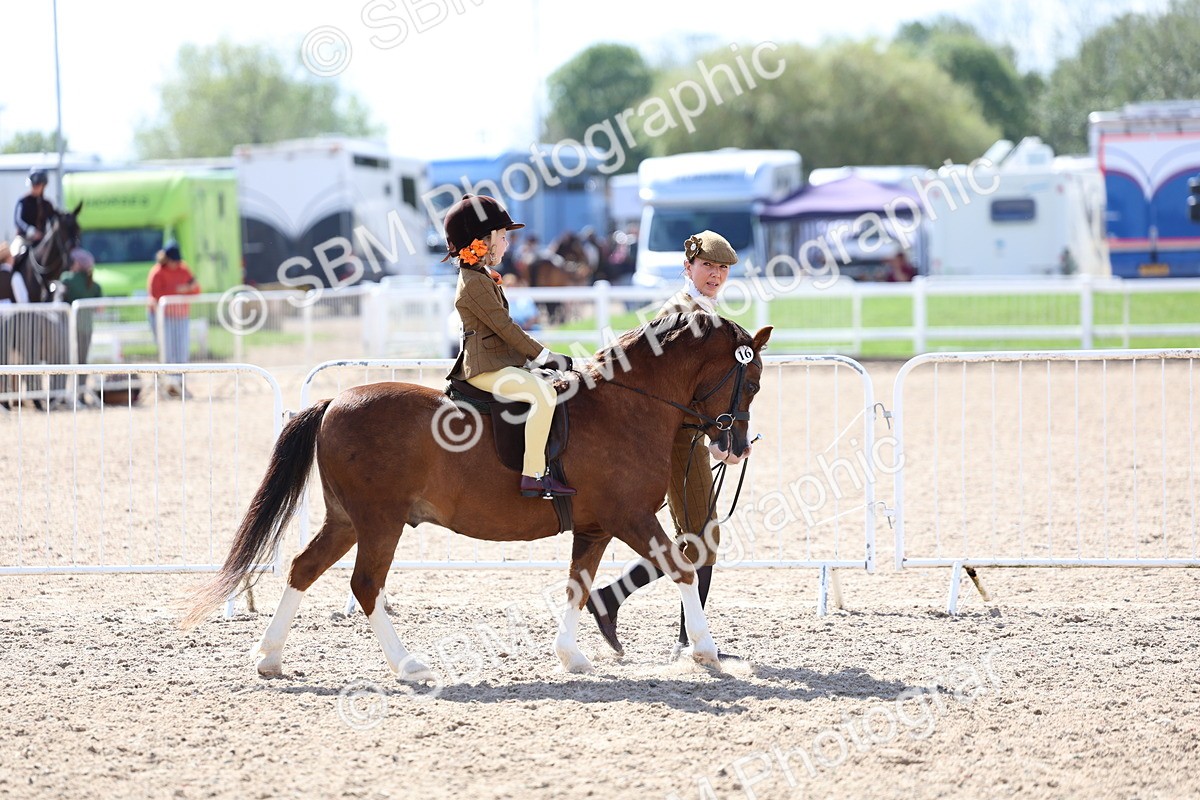 SBM_13005 - Class 309 - Lead Rein Pony