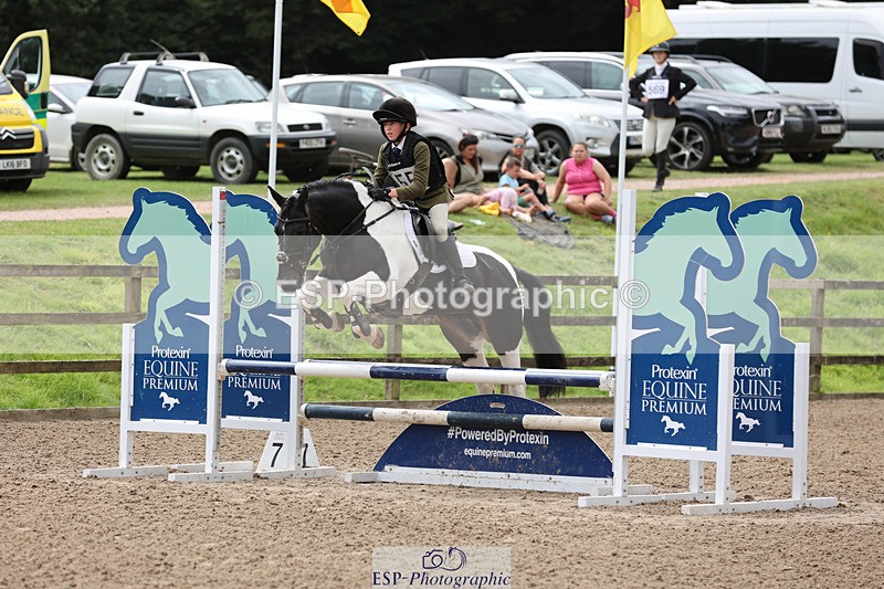 240804-133318-14306 - 555-Jack_Wish-WESTERLAKE_BUTTONWEED