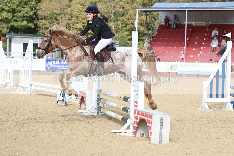 3E7A7661 - Class 3: 60cm open