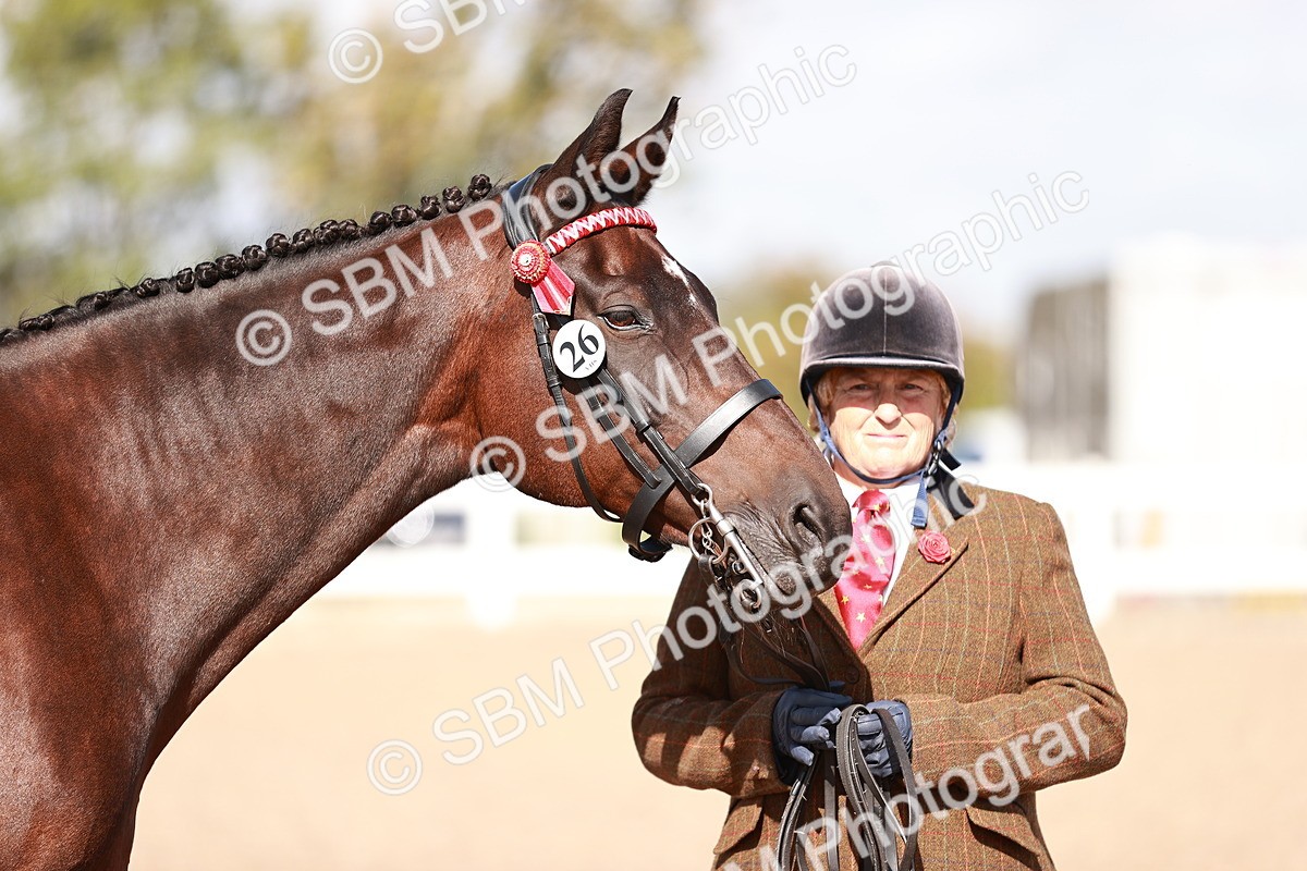 SBM_22806 - Class 705 - IH Combination 65+