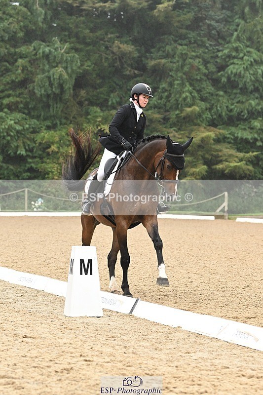 240811-094132-04843 - 119-Alice.Kneen-Dazzling.Springtime