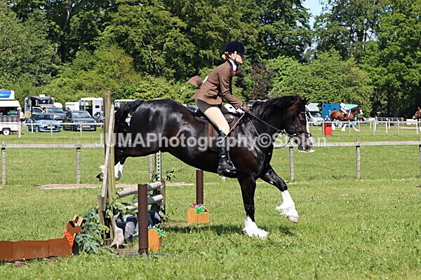 IMG_3712 - Working Hunter