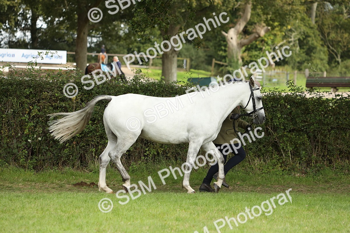 SBM_68541 - S40 - Junior Handler 9-12 Years