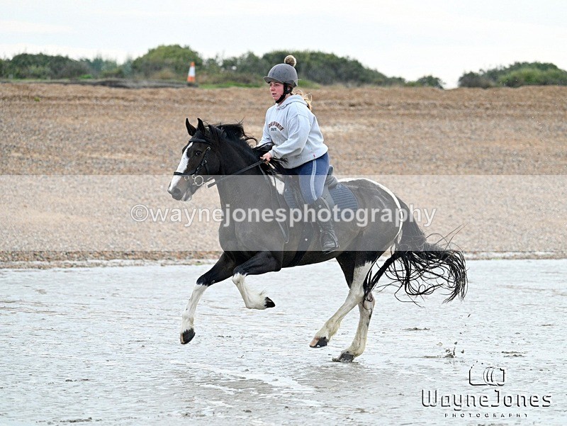 WJ7_9316 - Hayling Island Beach Shoot 22-09-24