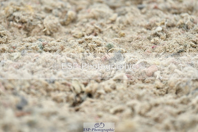 230630A-125240-02242 - Cls 8 Elementary 57