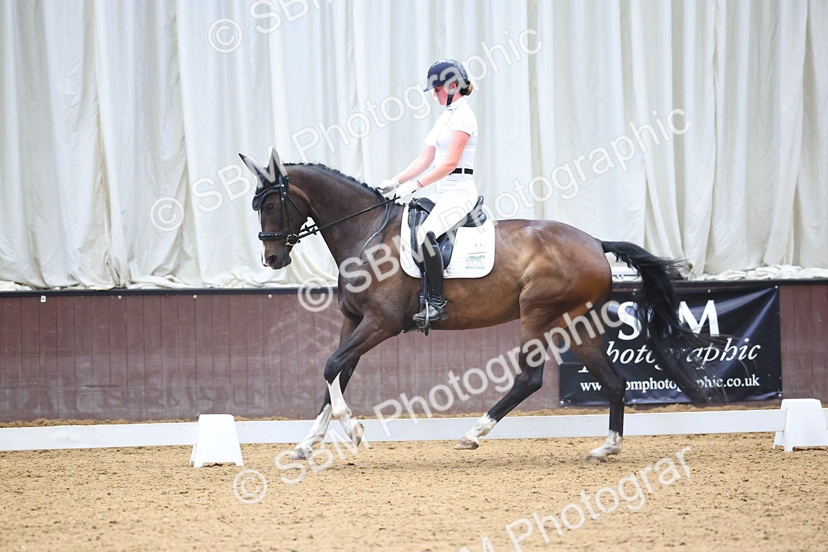 SBM_021805 - Class 14 - N6