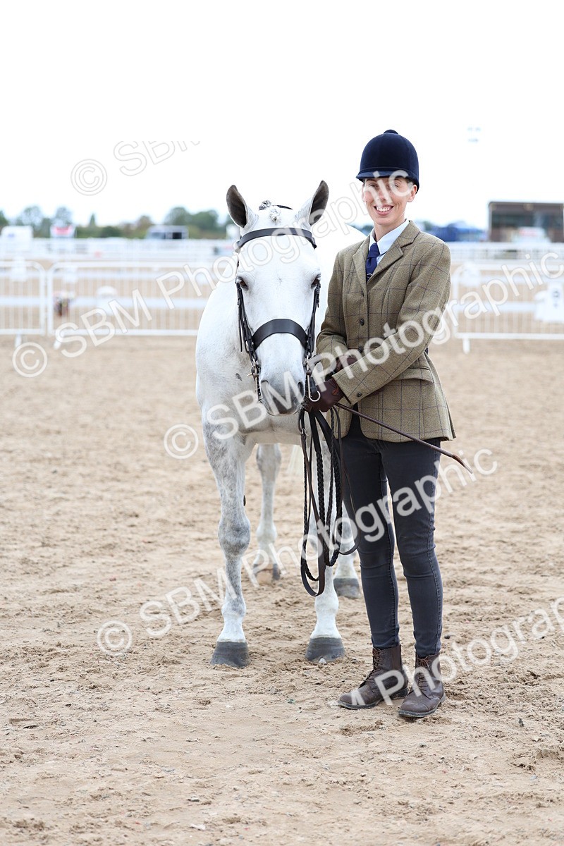 SBM_05734 - Class 28 - IH Veteran Horse