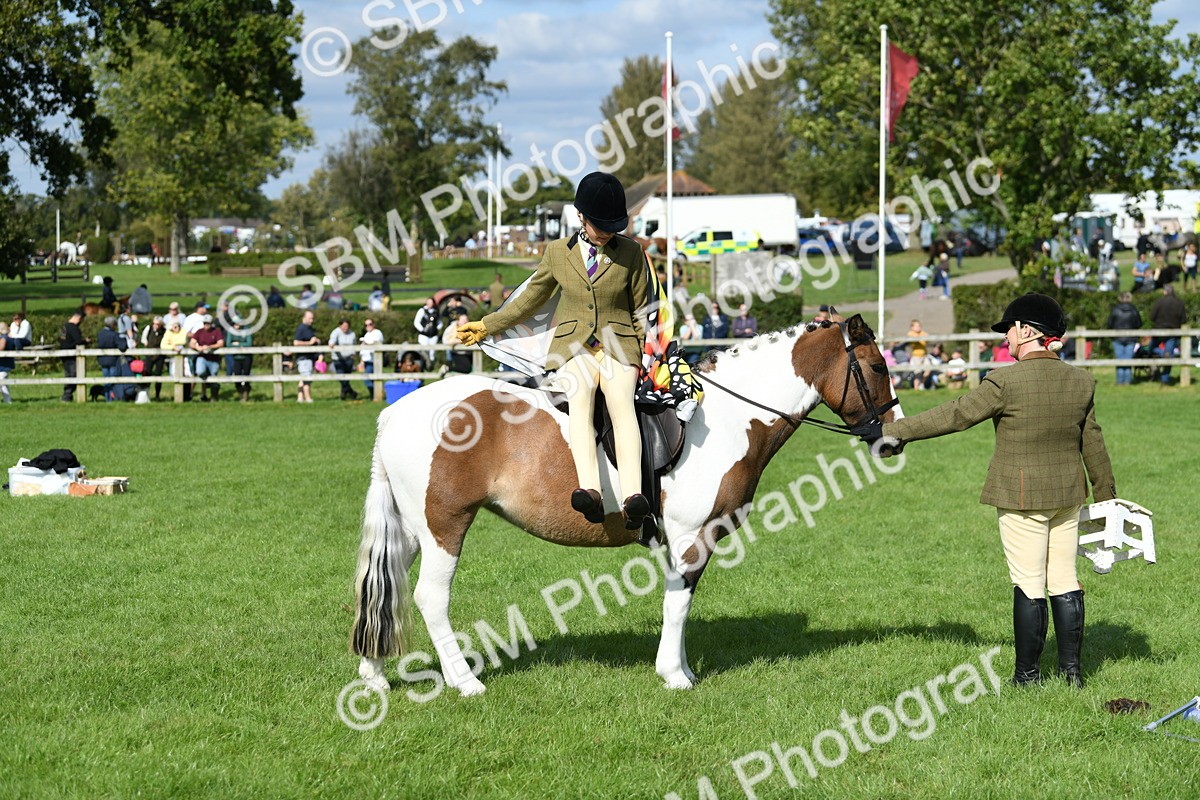 SBM_47131 - S12 - Family Horse & Pony