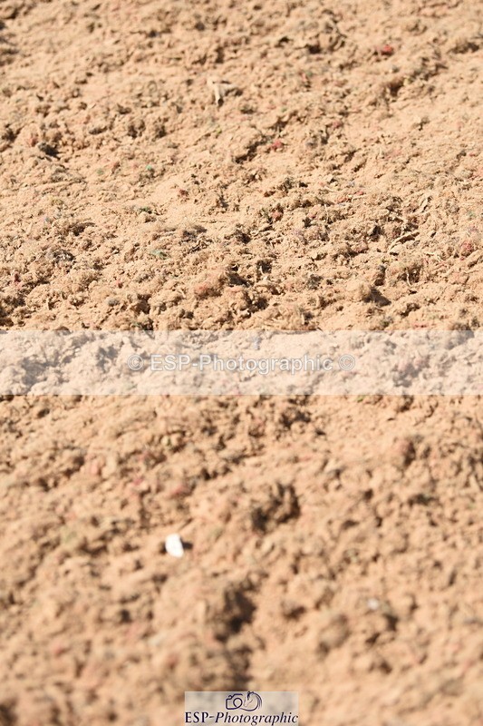 230906A-135336-00517 - Foxhunter & 1.20m Open