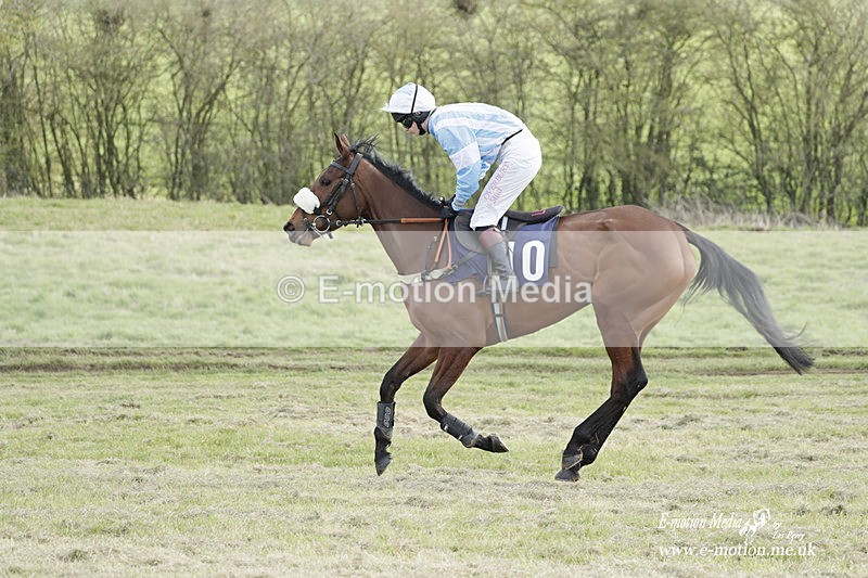 PtP 080423 938 - Dingley Races The Woodland Pytchley Hunt PtP 08/04/23