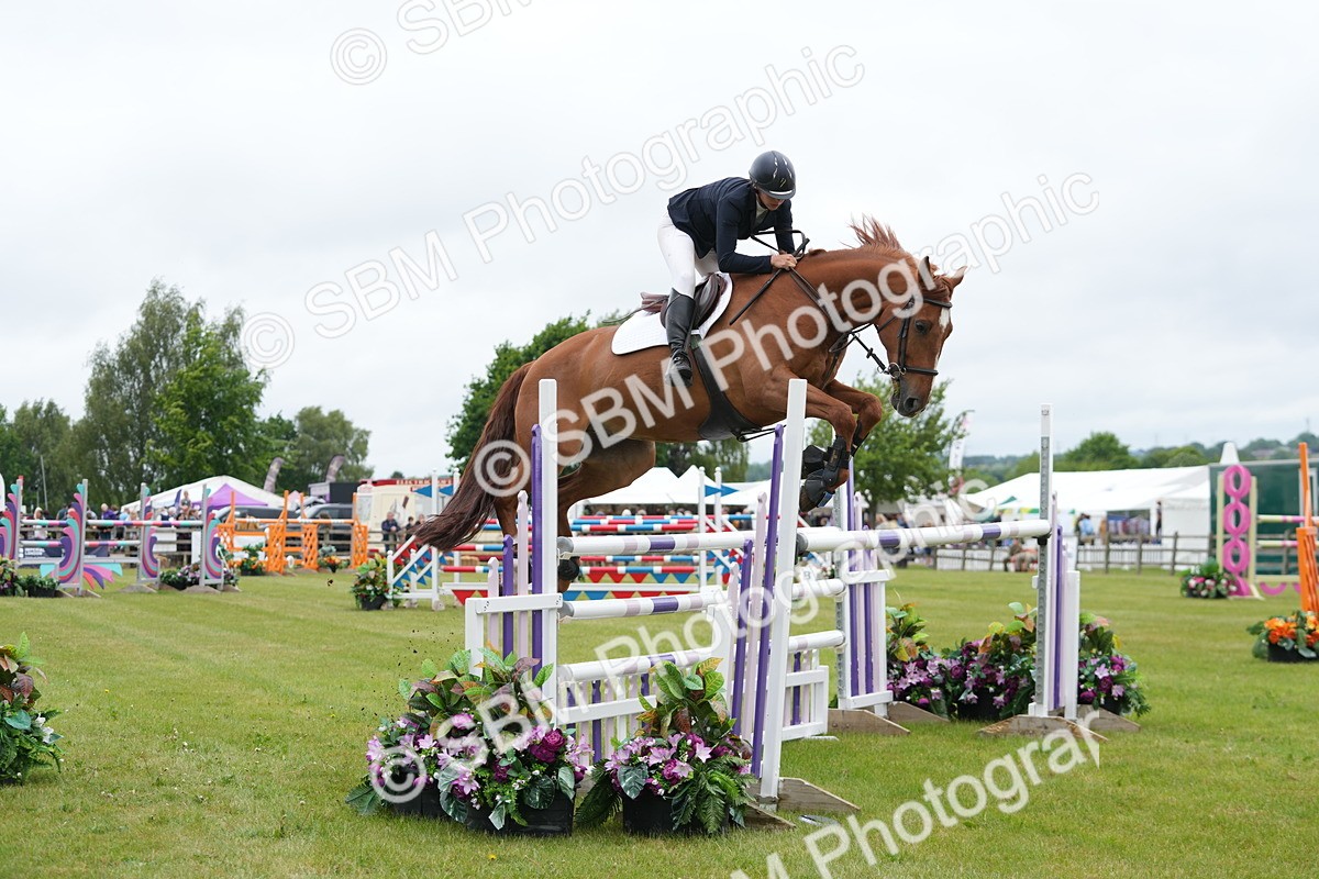 SBM_02991 - Class 201 - British Horse Feeds Speedi Beet Horse of the Year Show Grade  C