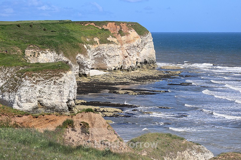 Sunny morning at Flamborough Head, Yorkshire - Yorkshire, England