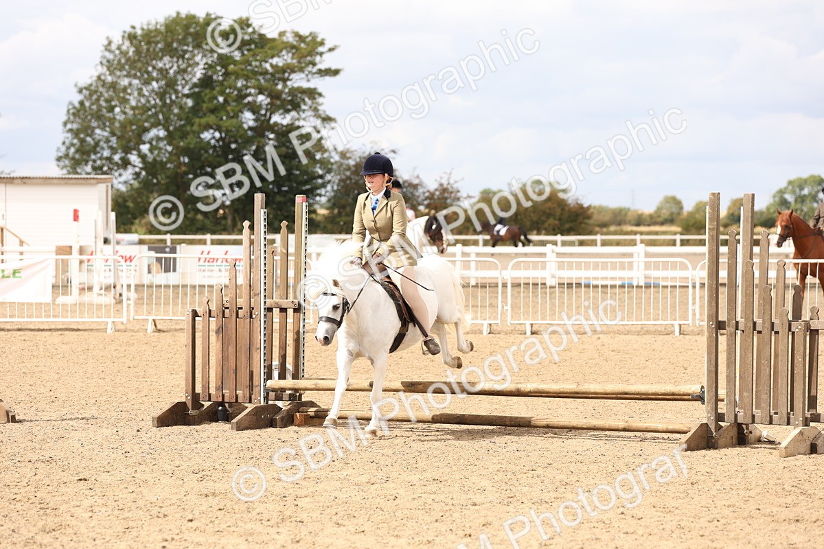 SBM_05191 - Class 56b -  Style & Performance - 50cm (20+)