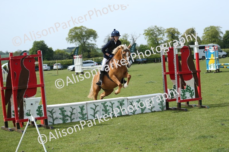 20260426-1747 - Class 14 - Novice 60cm