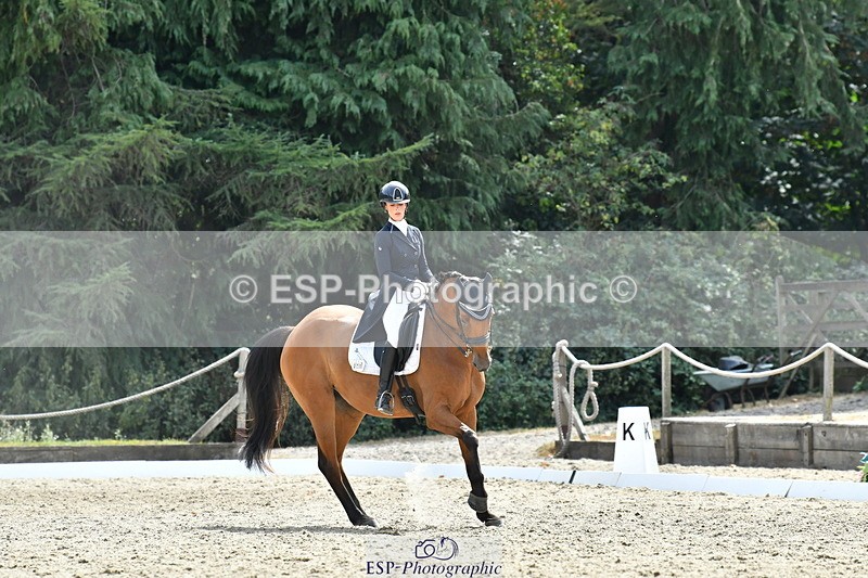 260802A-153442-07508 - Intermediate Bronze