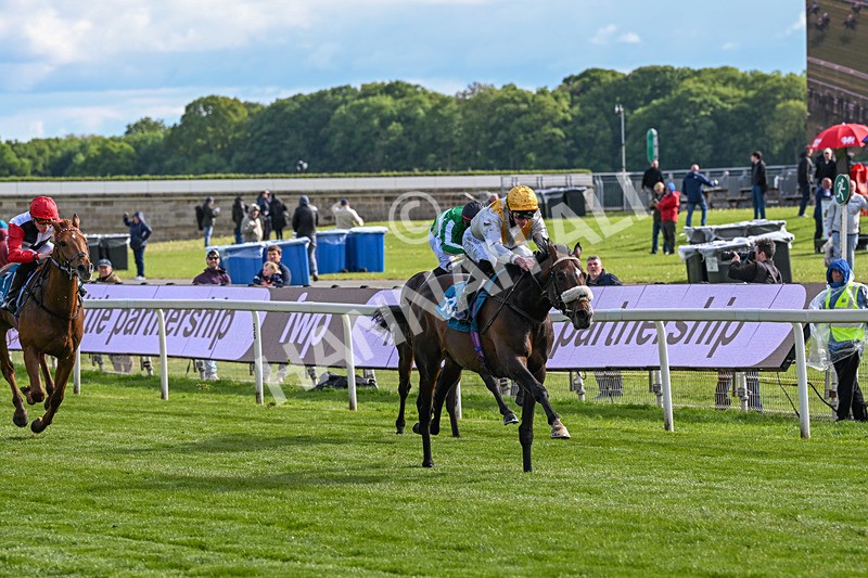 140526-Race 7-Arc Ole Ole-6011 - Race 7 5.15pm Frank Whittle Partnership Handicap