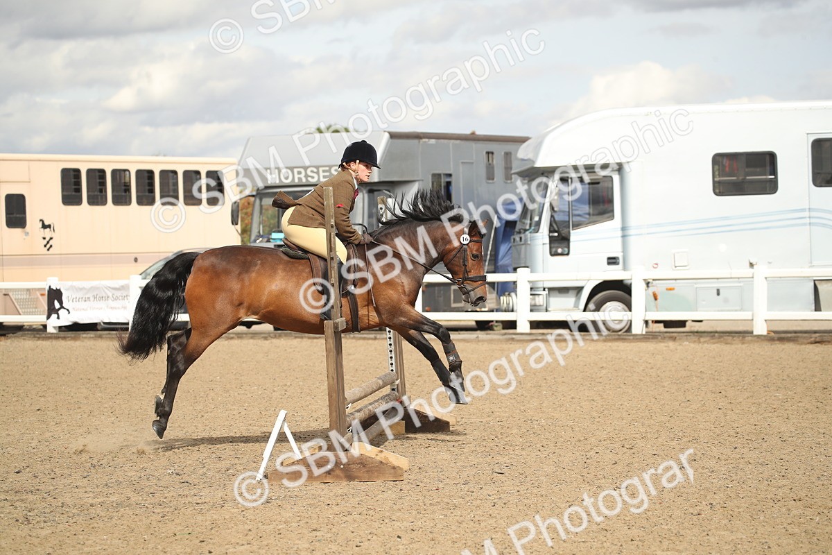 SBM_14534 - Class 505a - M&M Working Veteran - 50cm (15-19)