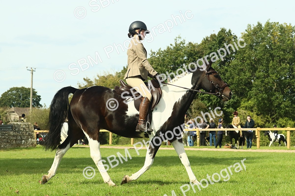 SBM_66523 - S34 - Rehabilitated Rescue Horse & Pony In Hand & Ridden