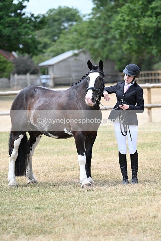WJ7_1868 - Class 4a Prettiest Mare 14.2hh and over hand