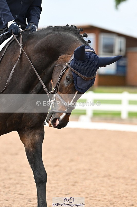 240621A-174106-06424 - Cls 9 MyQuest Novice 27